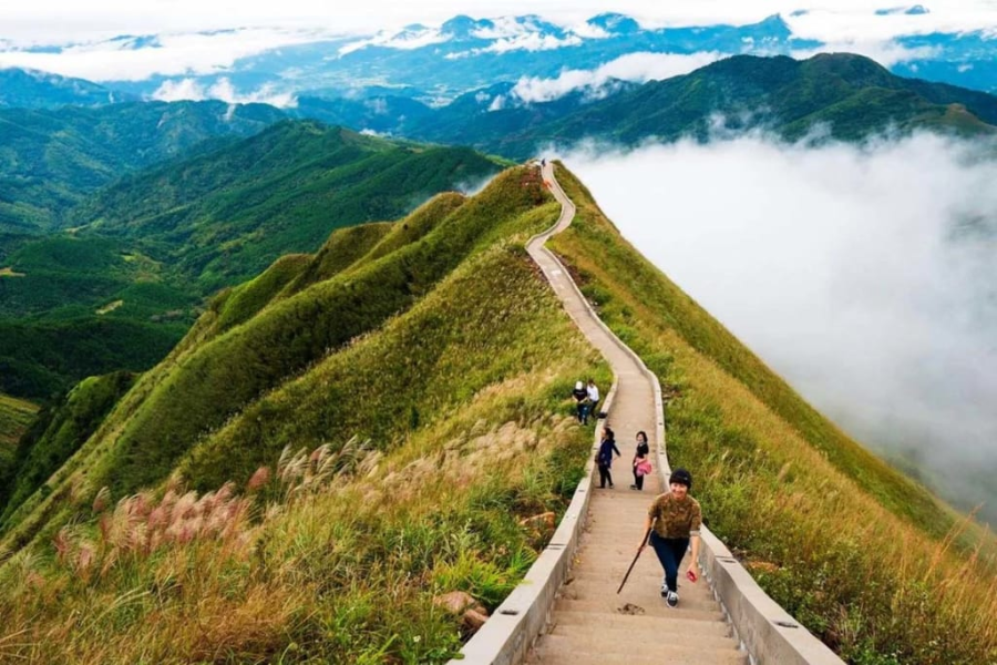 Tour Đà Lạt - Hạ Long - Danh Thắng Yên Tử - Bình Liêu - Mùa Hoa Lau Nở Trắng - Chùa Tam Chúc